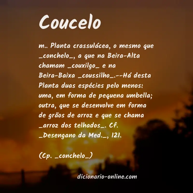 Significado de coucelo
