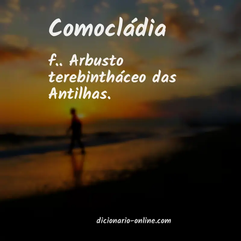 Significado de comocládia