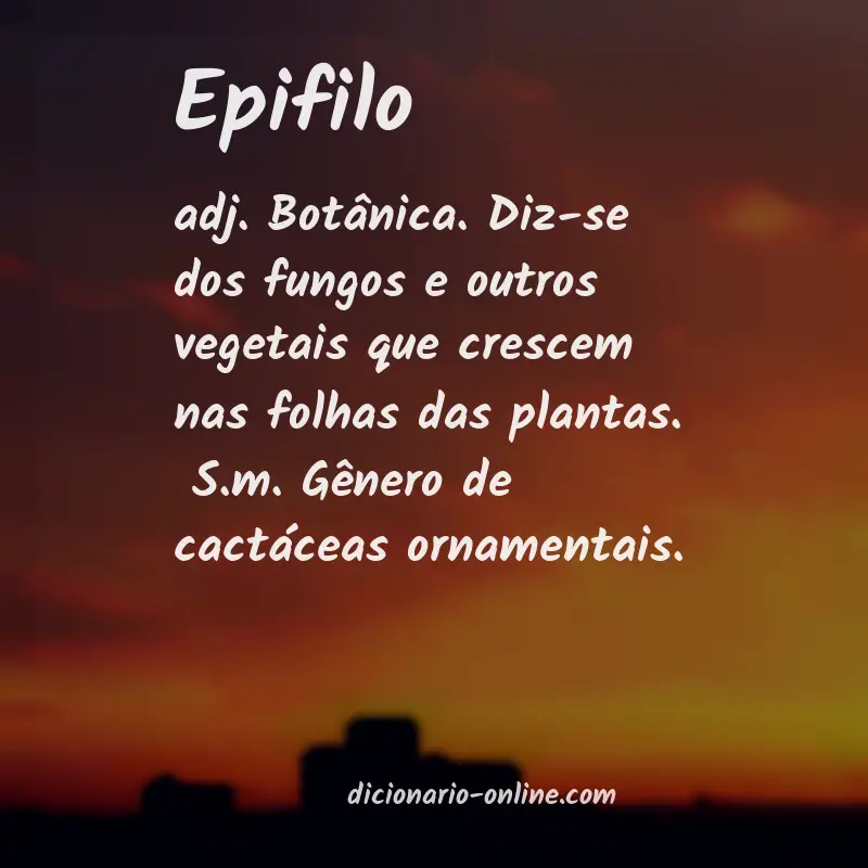 Significado de epifilo