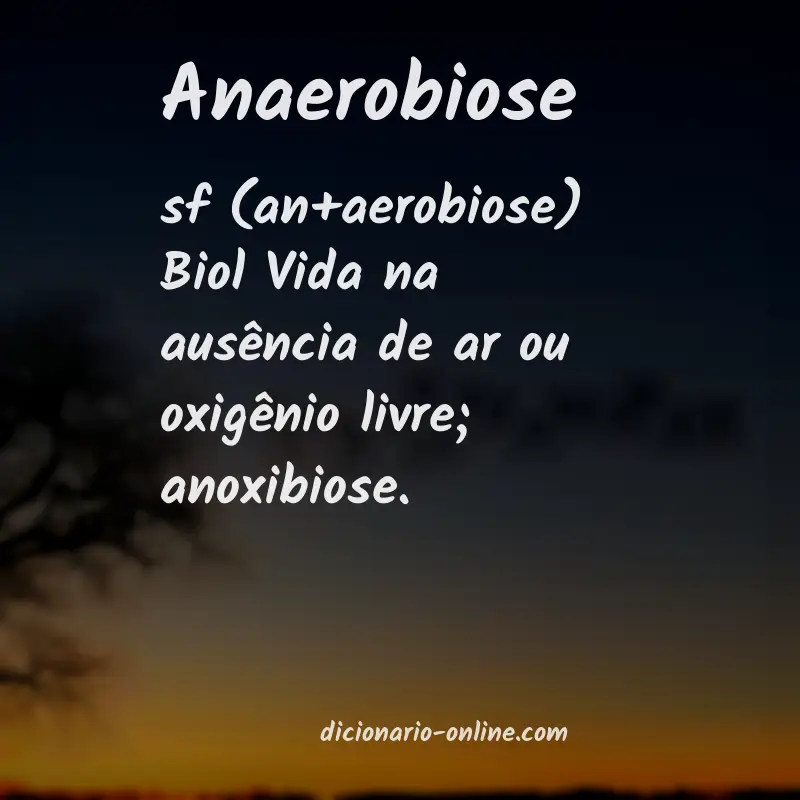 Significado de anaerobiose