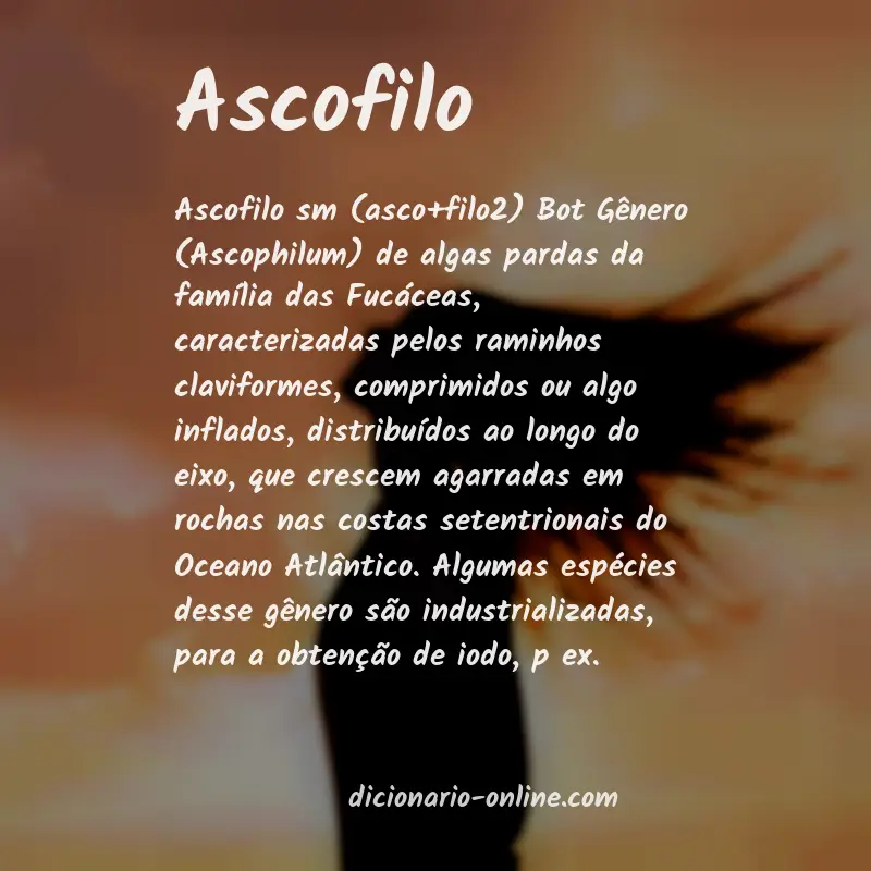 Significado de ascofilo