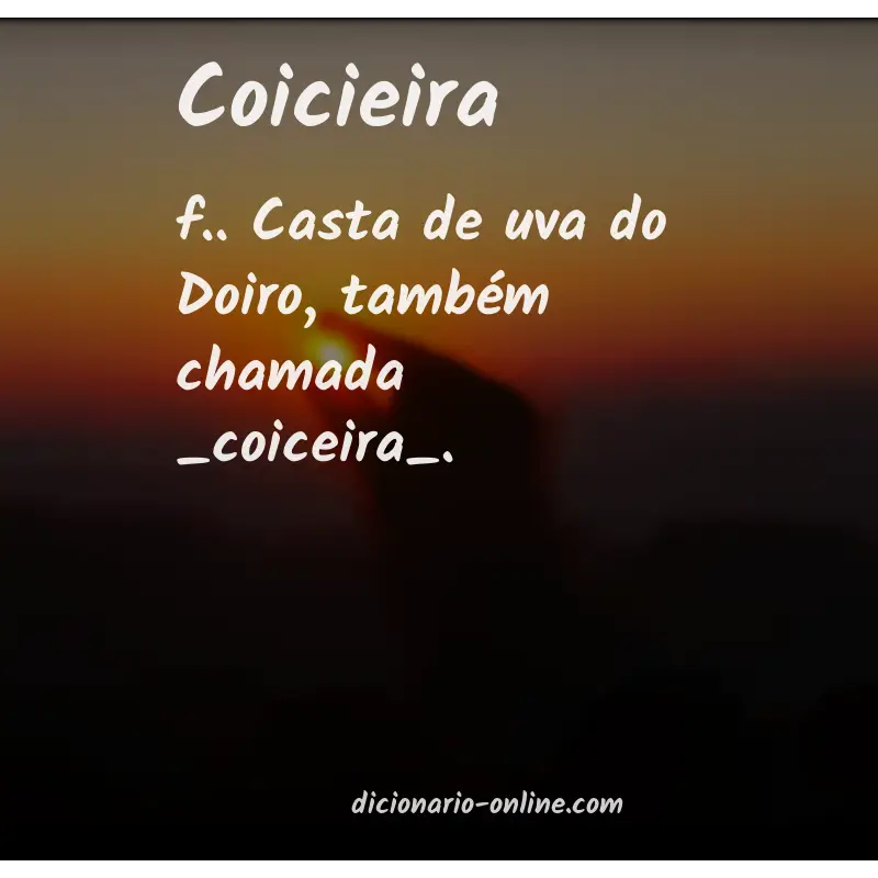 Significado de coicieira