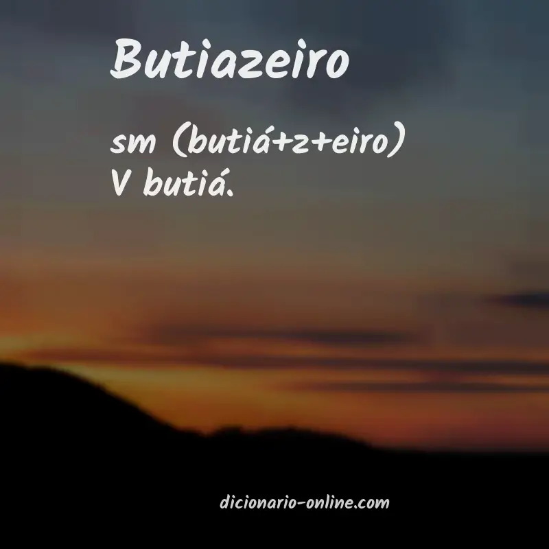 Significado de butiazeiro