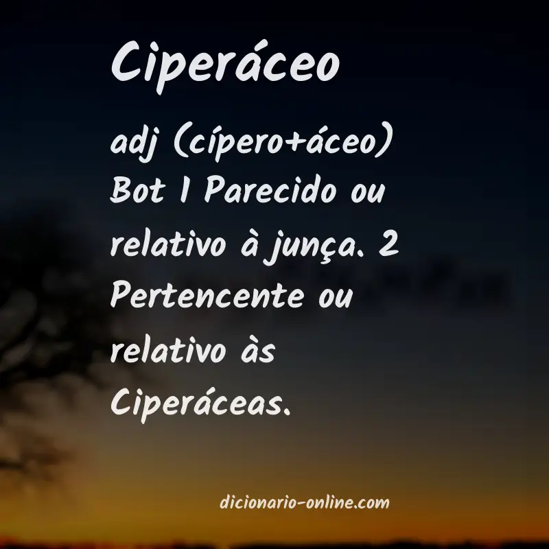 Significado de ciperáceo