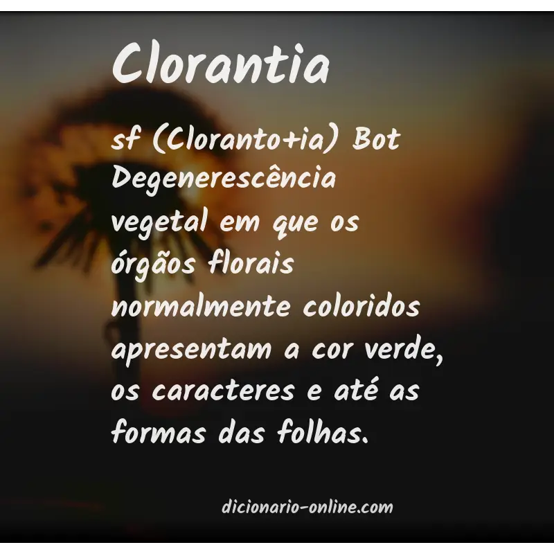 Significado de clorantia