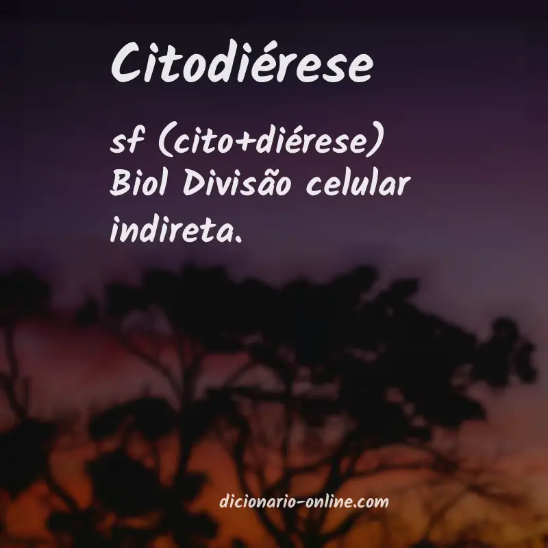 Significado de citodiérese