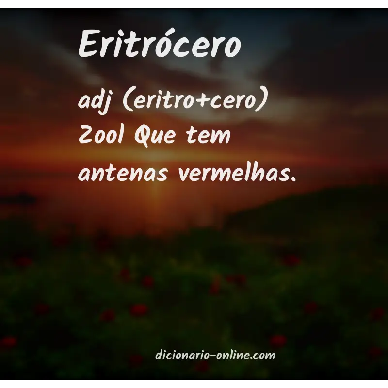 Significado de eritrócero