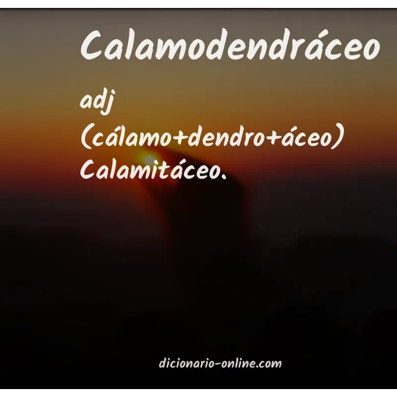 Significado de calamodendráceo
