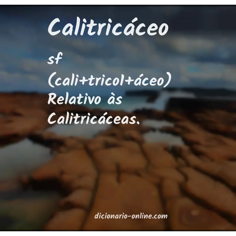 Significado de calitricáceo