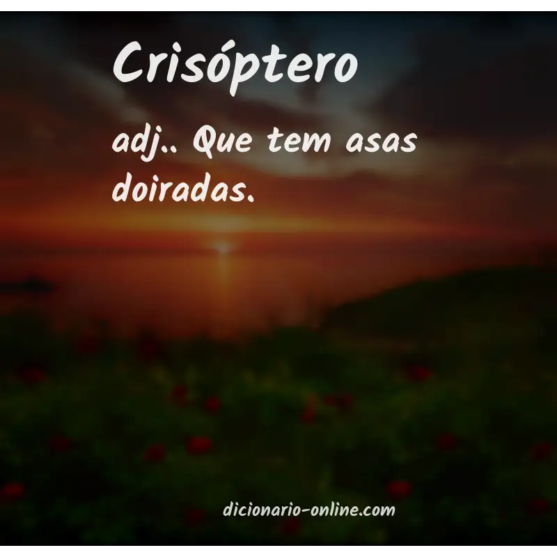 Significado de crisóptero