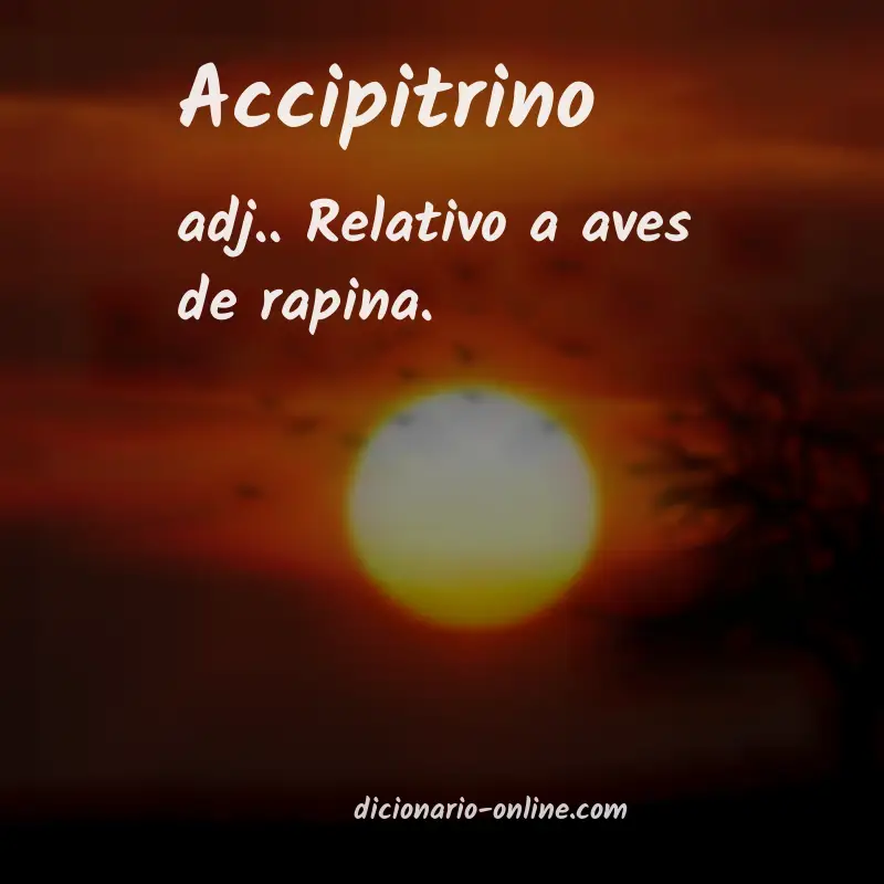 Significado de accipitrino