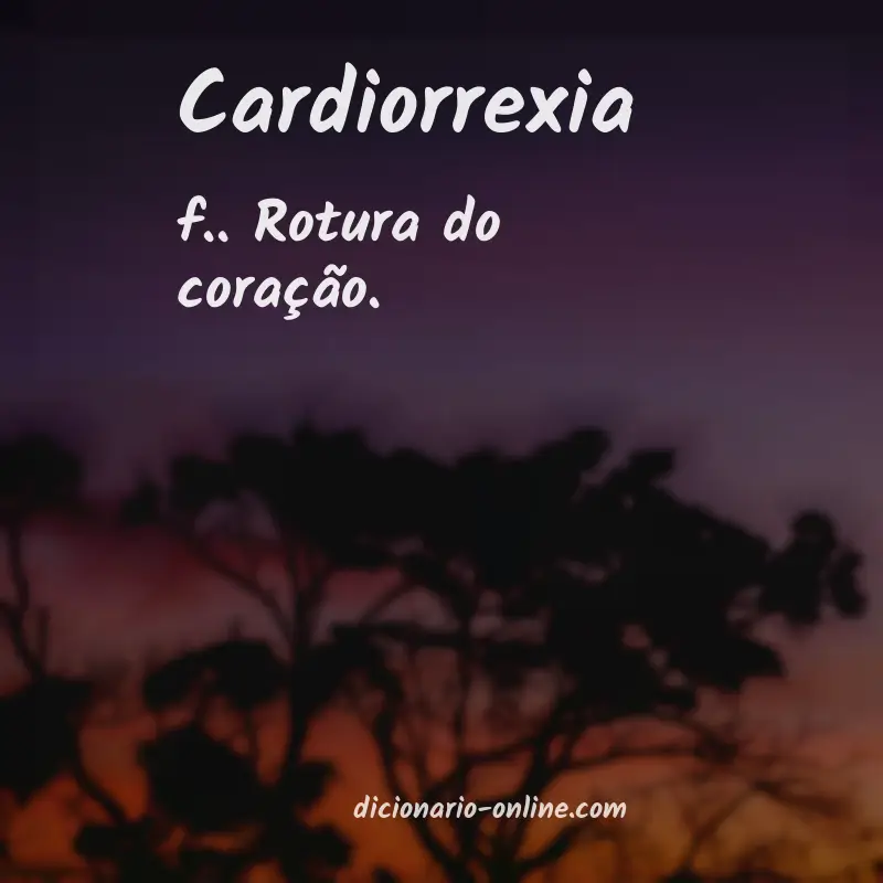 Significado de cardiorrexia