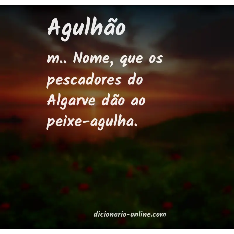 Significado de agulhão