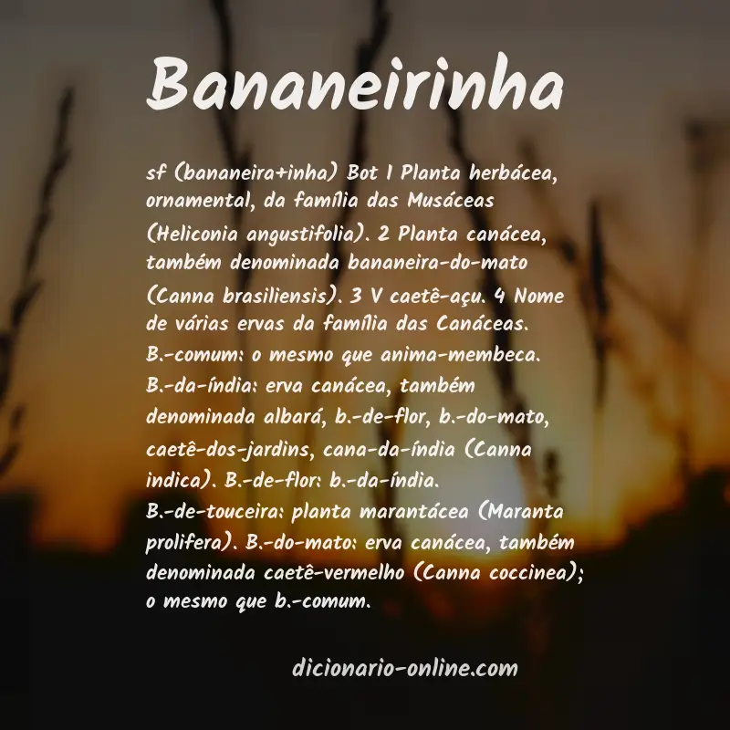 Significado de bananeirinha