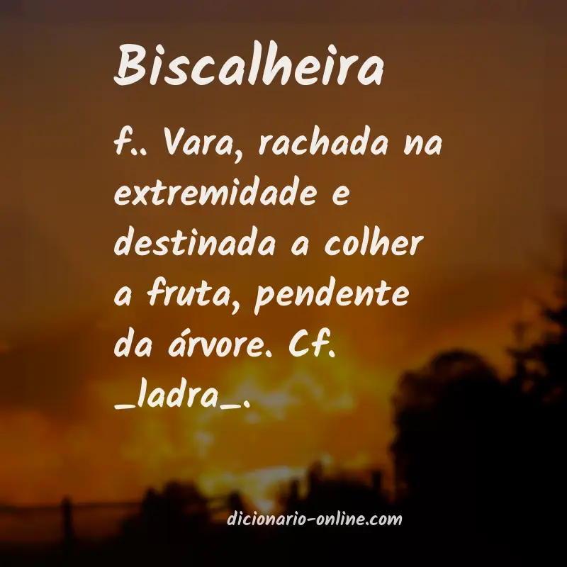 Significado de biscalheira