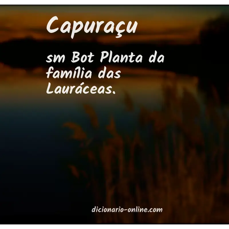 Significado de capuraçu