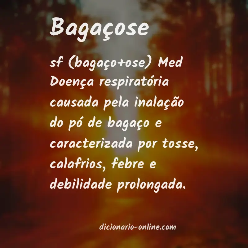 Significado de bagaçose