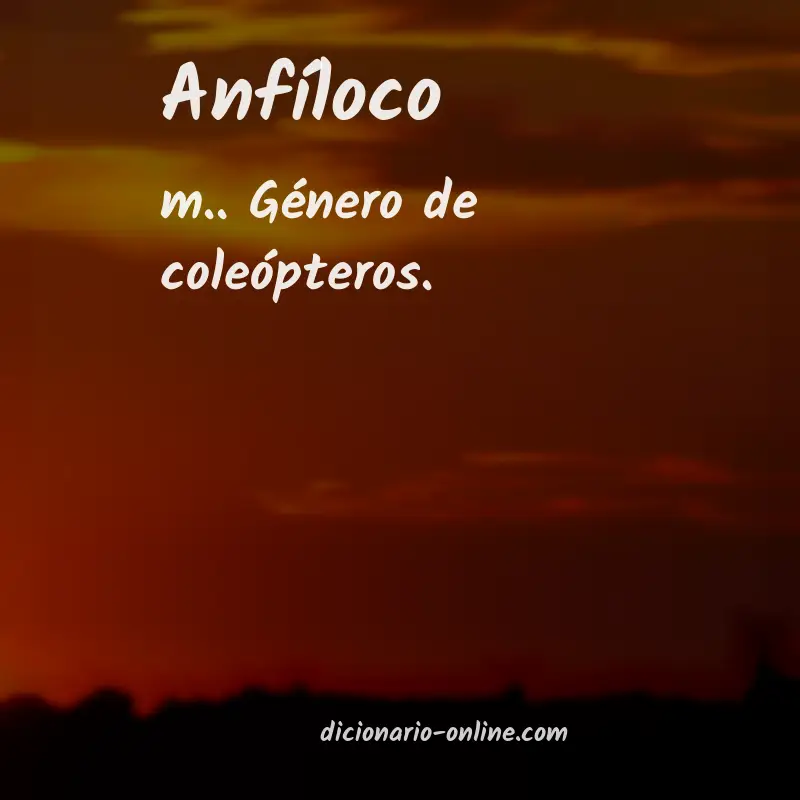 Significado de anfíloco