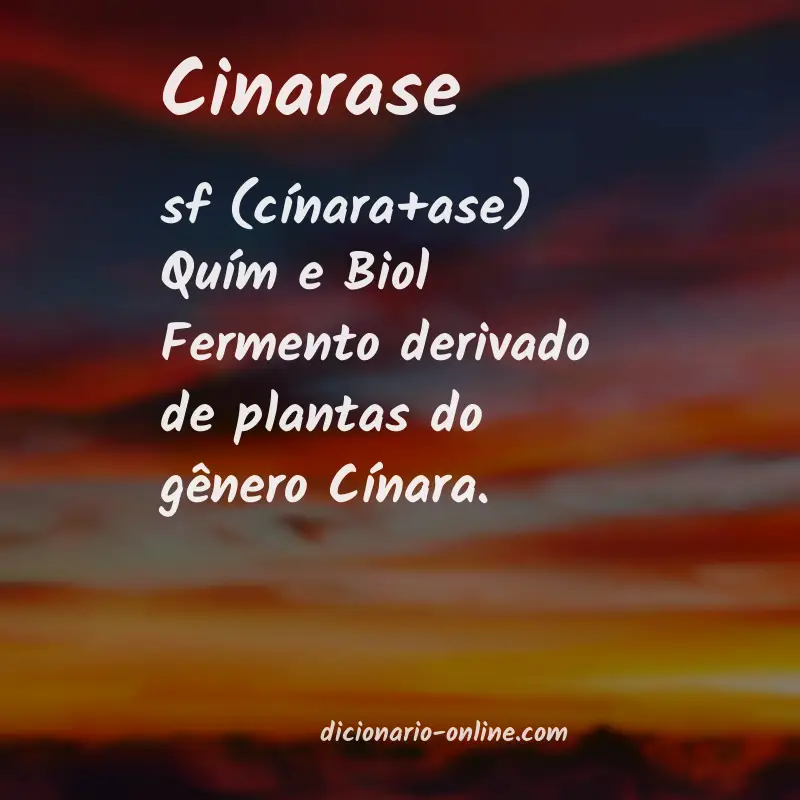 Significado de cinarase