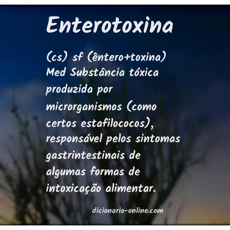 Significado de enterotoxina