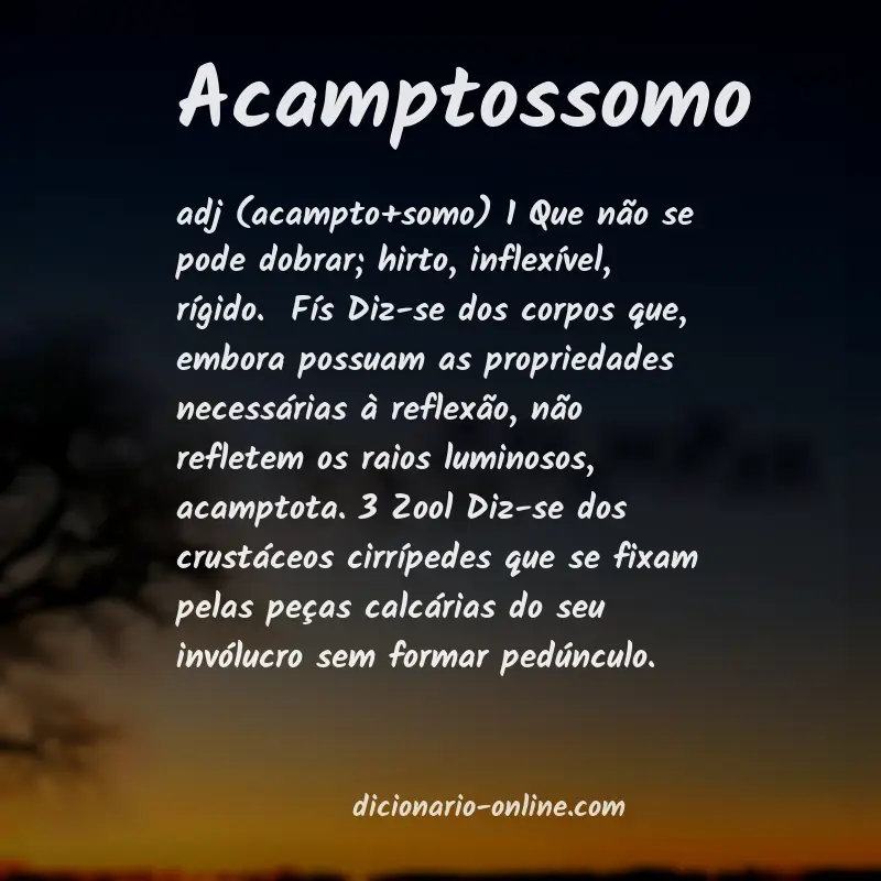 Significado de acamptossomo