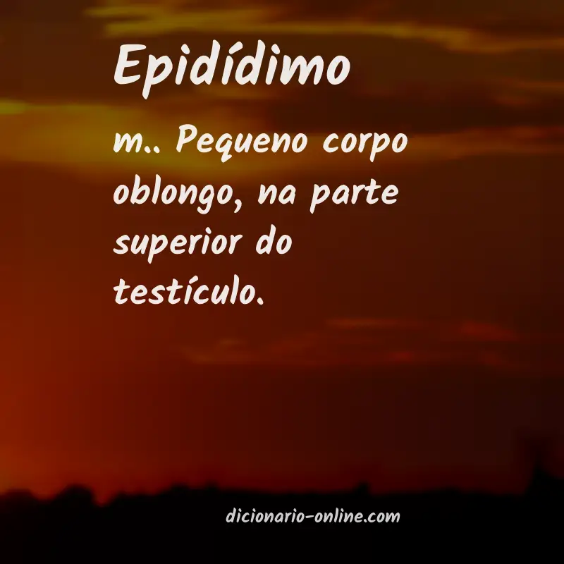 Significado de epidídimo