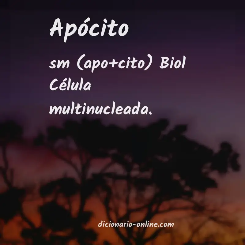Significado de apócito