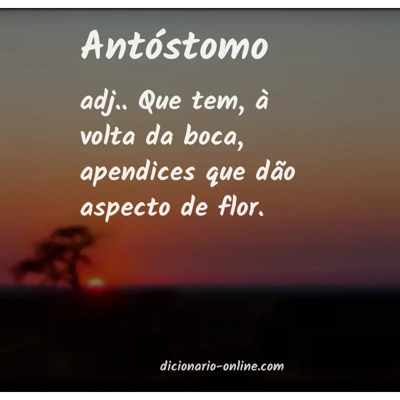 Significado de antóstomo