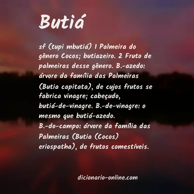 Significado de butiá