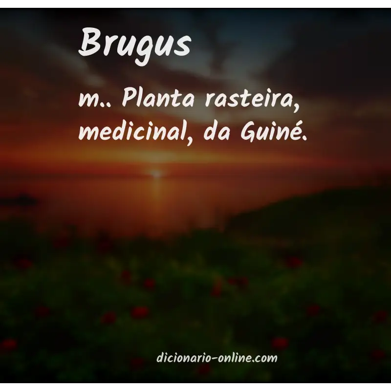 Significado de brugus