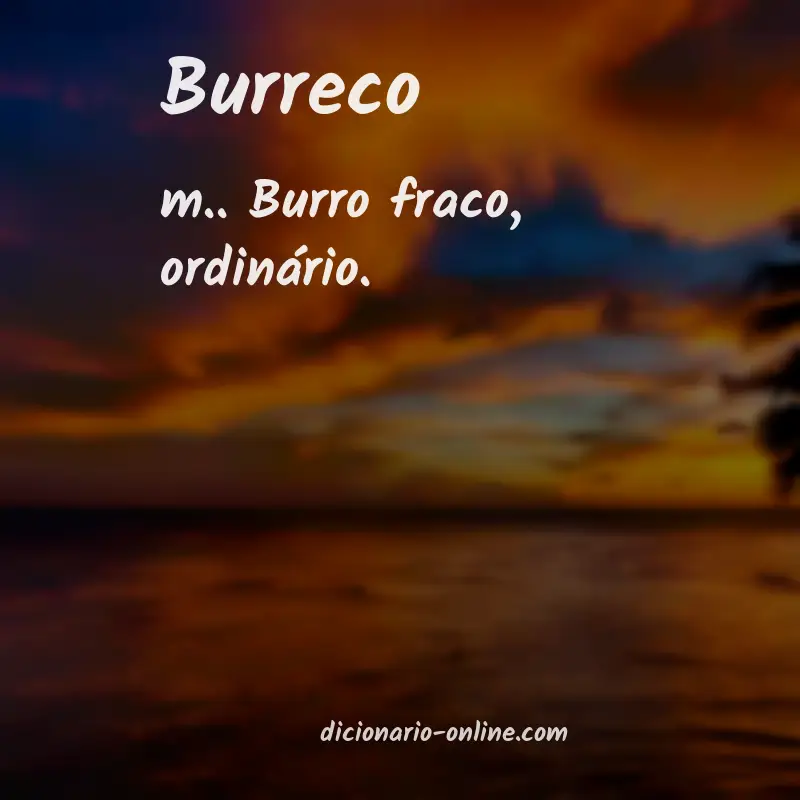 Significado de burreco