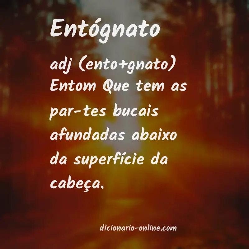 Significado de entógnato