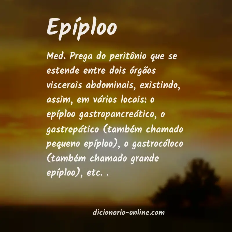 Significado de epíploo