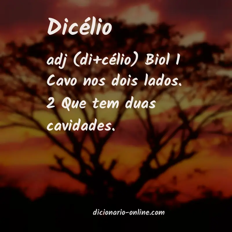 Significado de dicélio