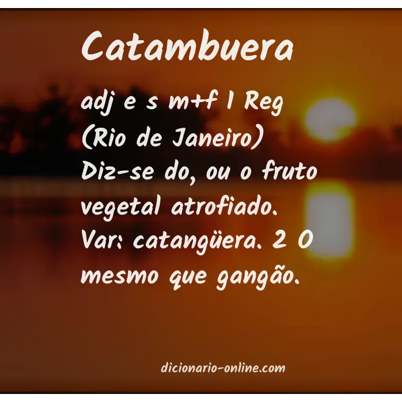 Significado de catambuera