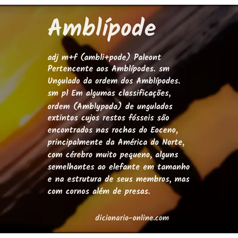 Significado de amblípode