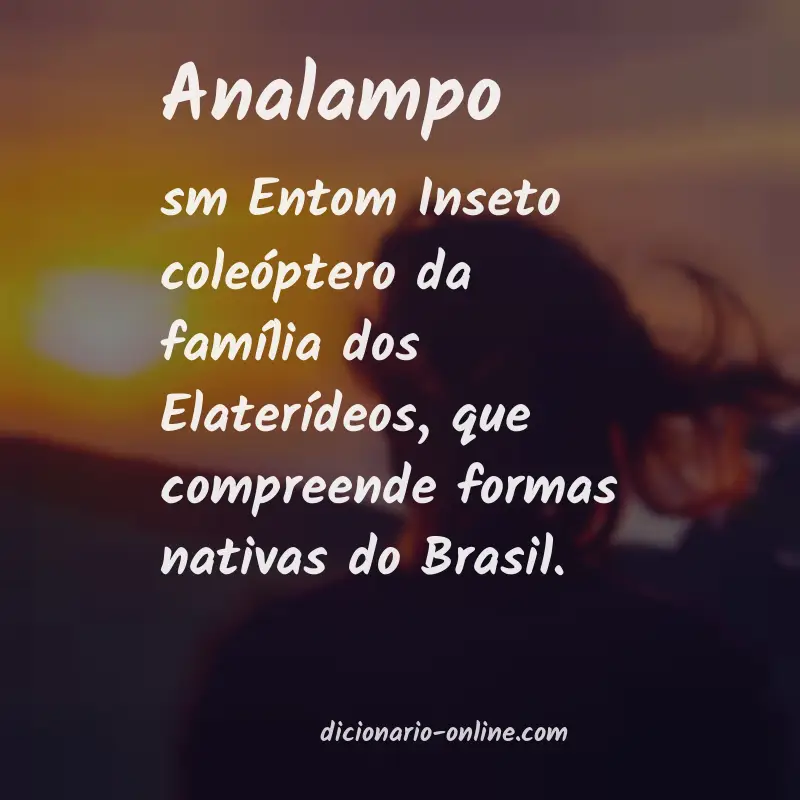 Significado de analampo