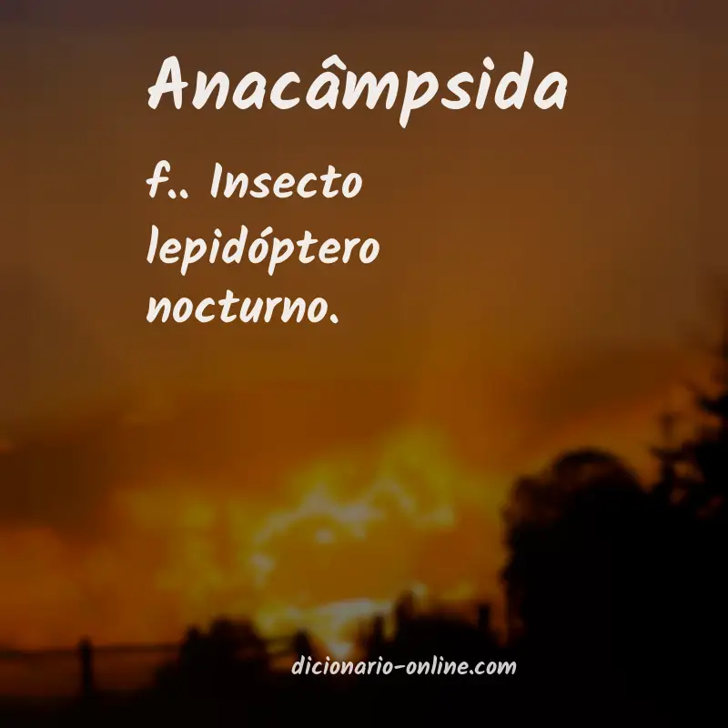 Significado de anacâmpsida