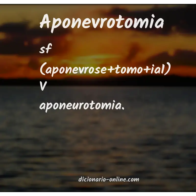 Significado de aponevrotomia