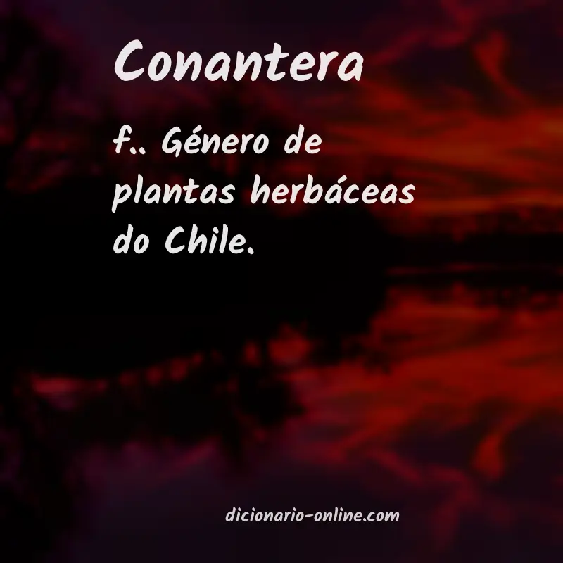 Significado de conantera