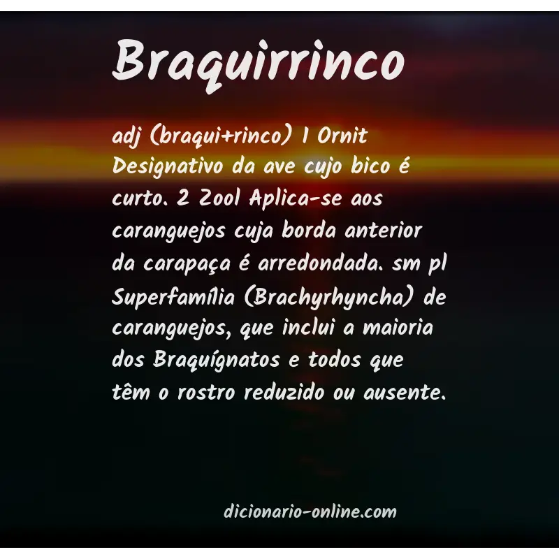 Significado de braquirrinco