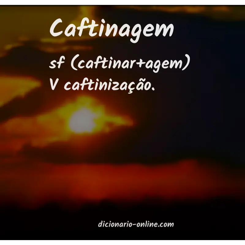 Significado de caftinagem