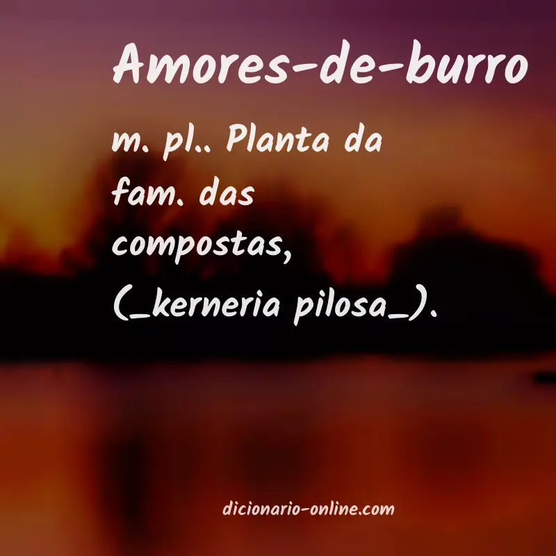 Significado de amores-de-burro