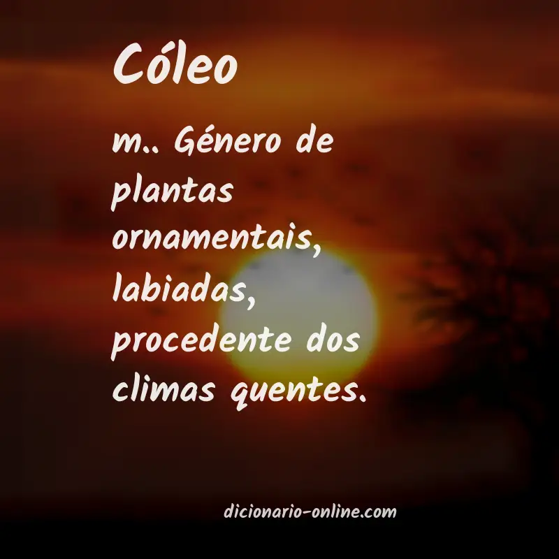 Significado de cóleo