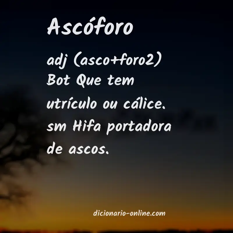 Significado de ascóforo