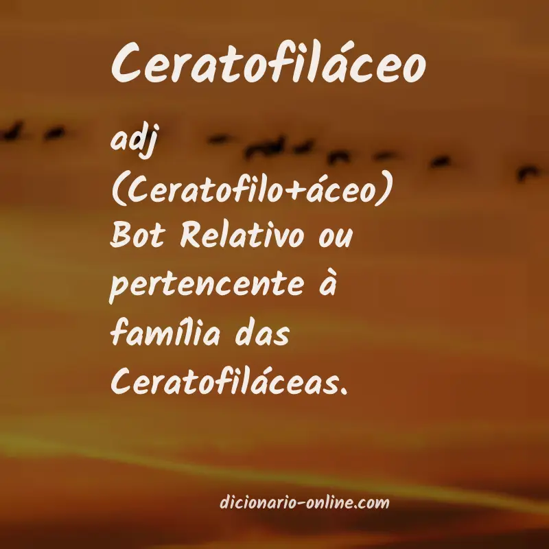 Significado de ceratofiláceo