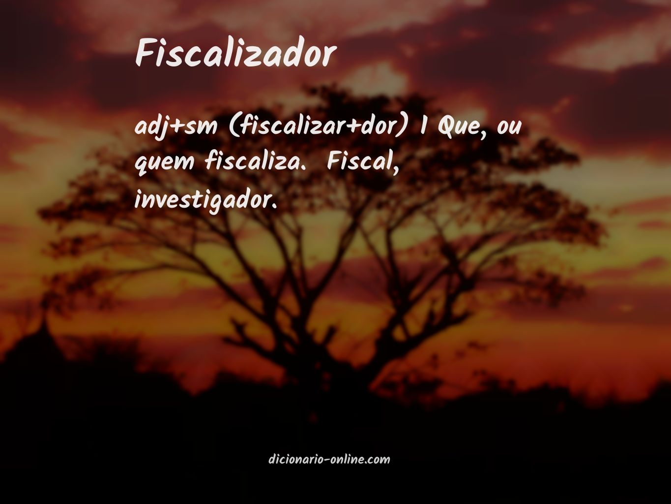 Significado de fiscalizador