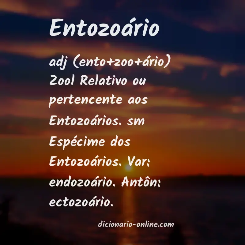 Significado de entozoário