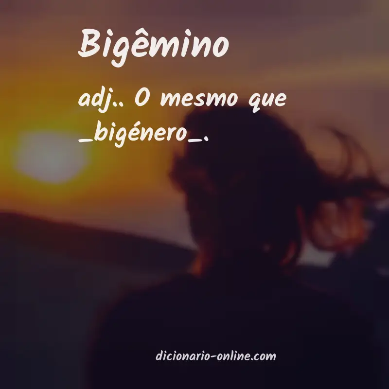 Significado de bigêmino
