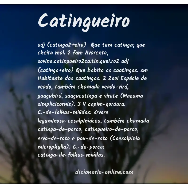Significado de catingueiro